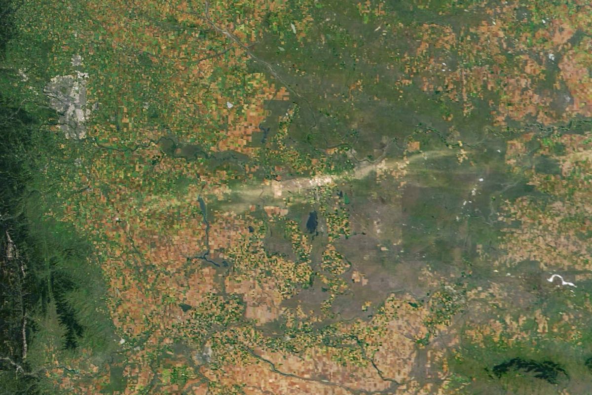 Satellite image of a pale hail scar across farmland east of Calgary, the city visible at the top left